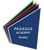 Pegasus Academy